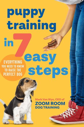 Training Essentials 2
